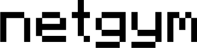 NetGym logo